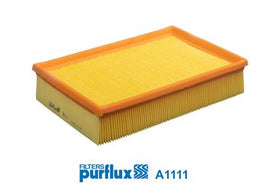FILTRE A AIR P307 ESSENCE