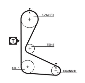 COURROIE DISTRIBUTION: 118D- 15 MM.