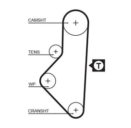 COURROIE DISTRIBUTION: 113D- 17 MM.