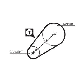 COURROIE DISTRIBUTION:  54D- 19 MM.