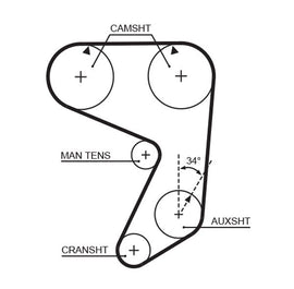 COURROIE DISTRIBUTION: 146D- 19 MM.