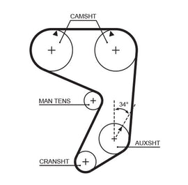 COURROIE DISTRIBUTION: 144D- 19 MM.